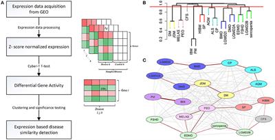 Co-expression Network Approach Reveals Functional Similarities among Diseases Affecting Human Skeletal Muscle